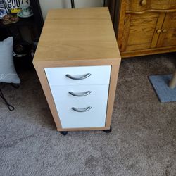 ($20) Filing Cabinet On Wheels