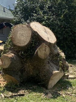 Hacemos Todo Trabajo Pregunte Sin Compromiso 