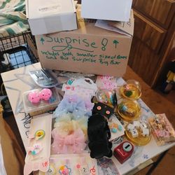 Surprise Mystery Boxes