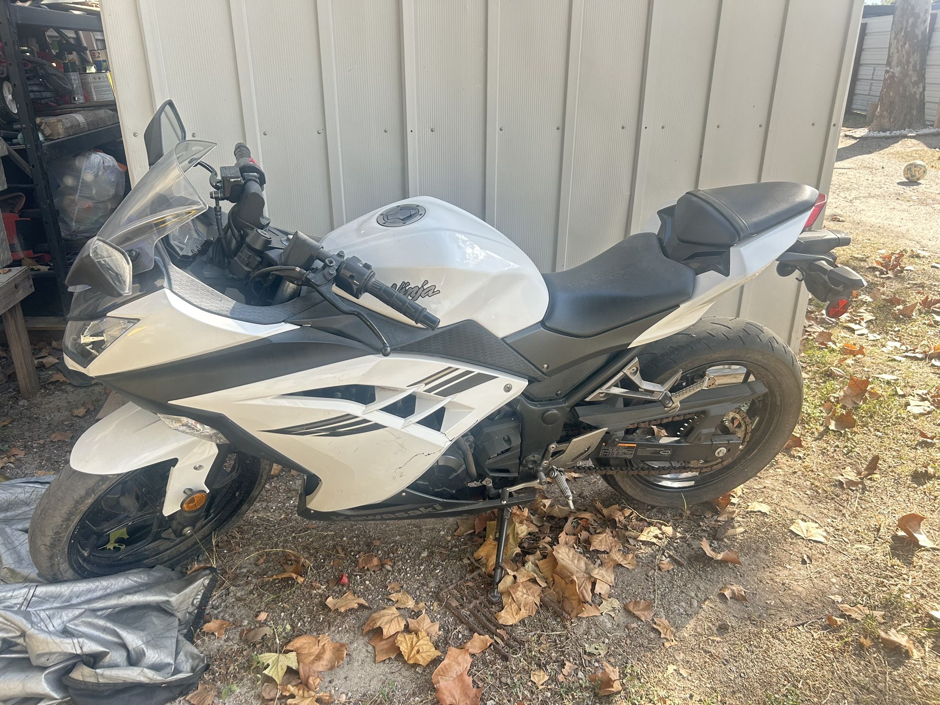 Kawasaki Ninja 2017 300