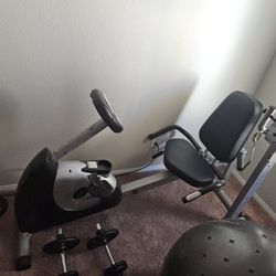 Scwinn Exercise Bike