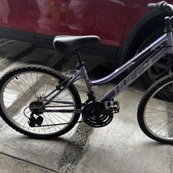 Purple Bike