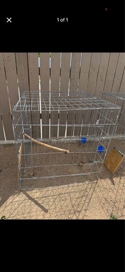 Rooster cage