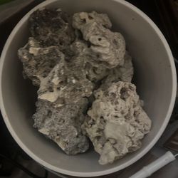 Saltwater Rocks