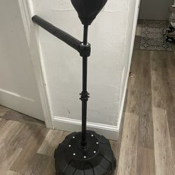 Reflex Punching Bag