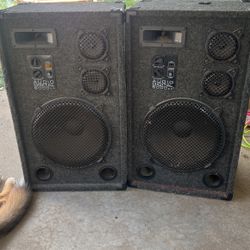 250w Outdoor Speakers