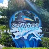 SeaWorld San Diego!!!!