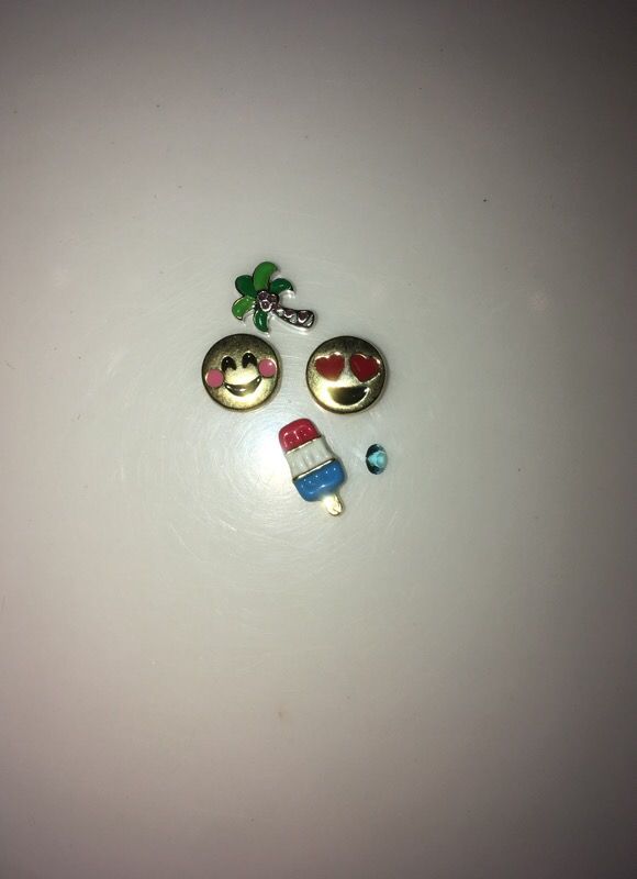 Origami Owl Charms