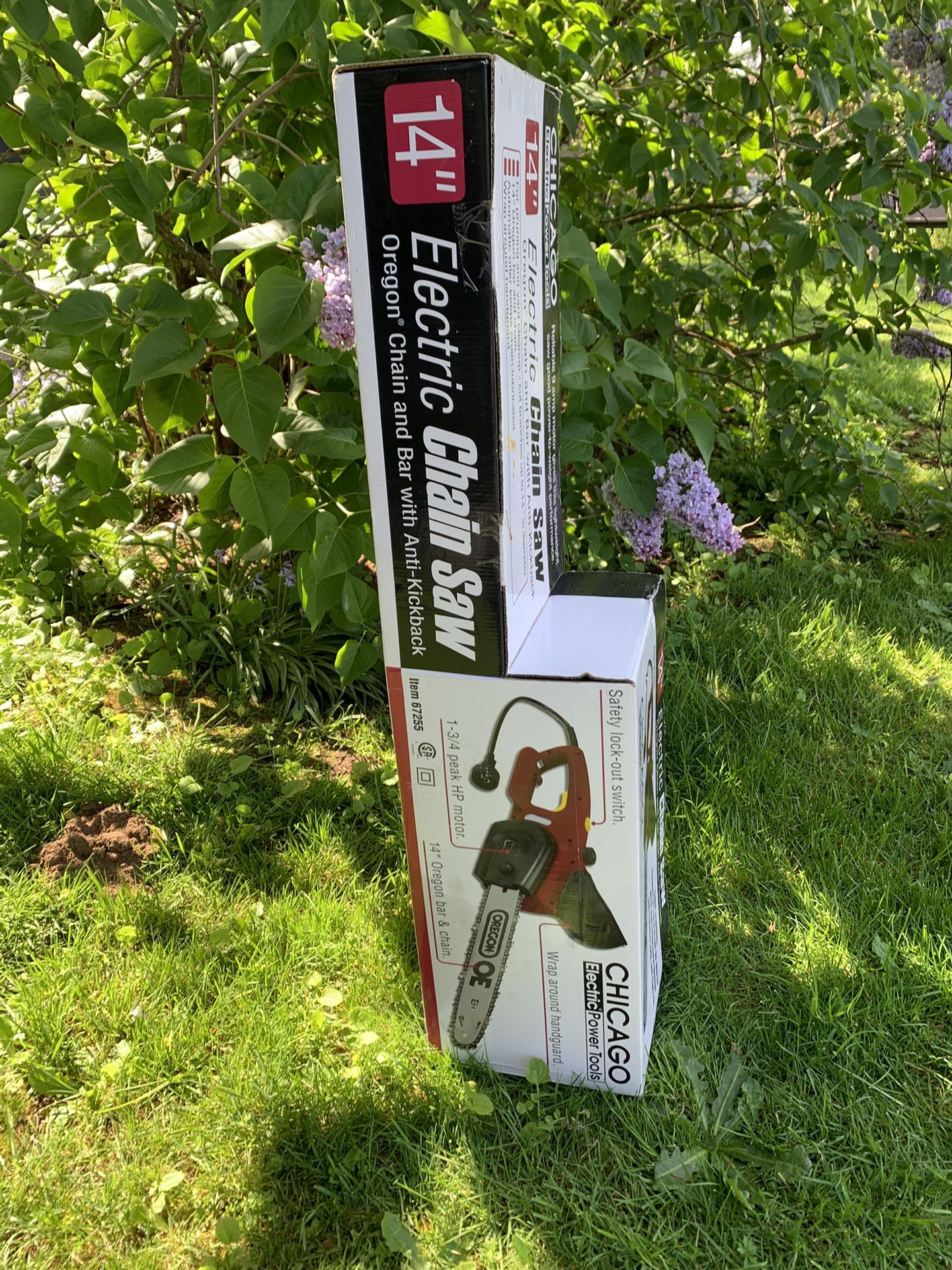 Electric Chain Saw