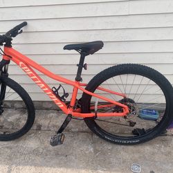 Specialized Bike 300