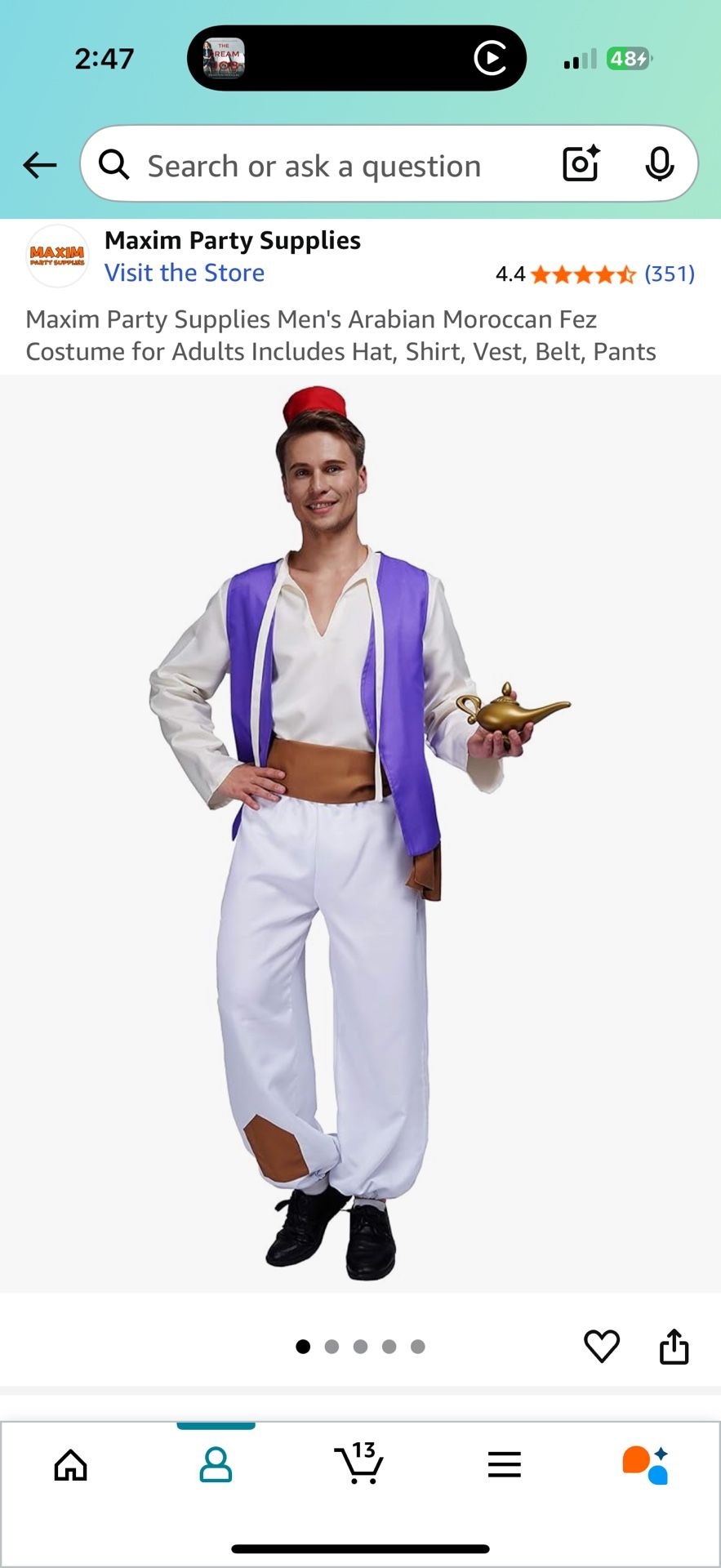 Aladdin Adult Costume 