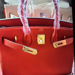 Hermès Birkin 25 Togo