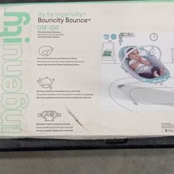 Baby Bouncer Brand New In The Package Only $15 Bucks