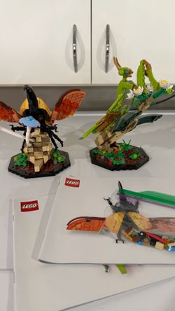 Lego 21342 Ideas The Insect Collection