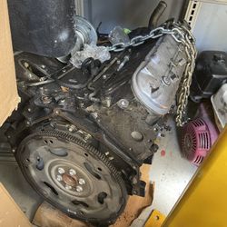 LS 4.8 v8
