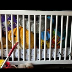 Crib With Mattress 