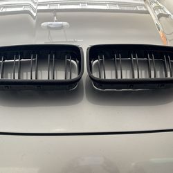 BMW front End Grille