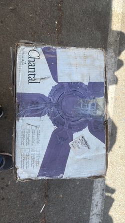Fan
