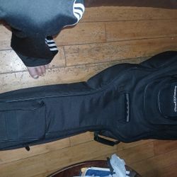 Road Runner Double Guitar Gig Bag