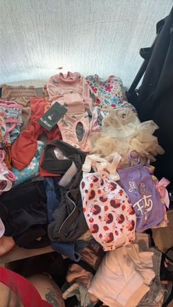 Puppy clothes and diapers
