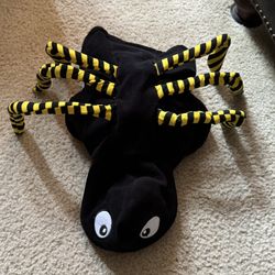 Spider Pet Costume. Medium Size 
