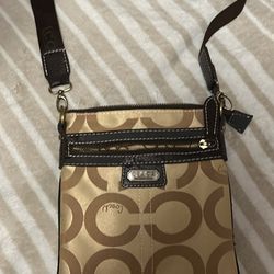 Purse (LOOK AT DESCRIPTION)