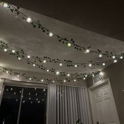 Cozy LED String Lights 50FT