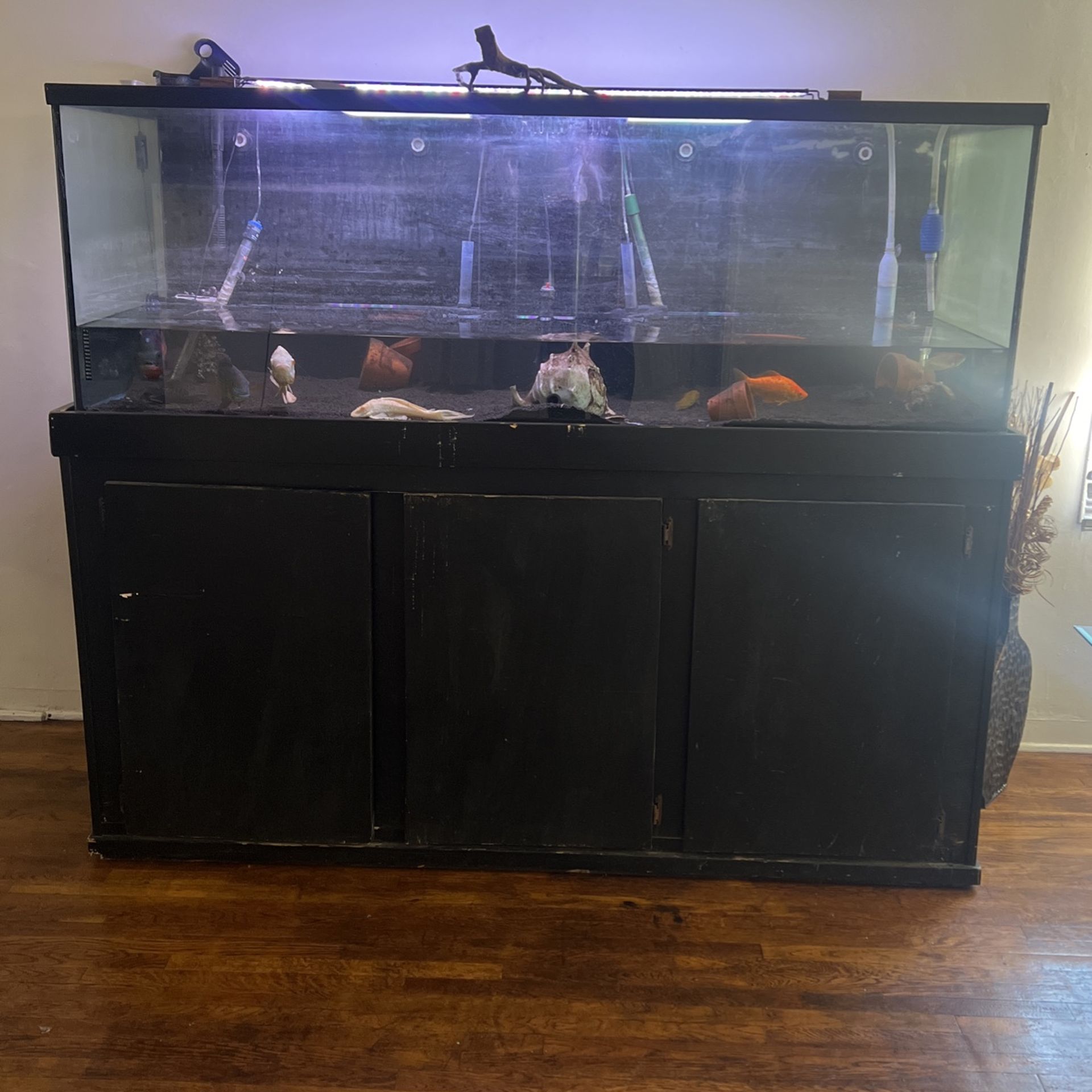 Aquariums And Stand