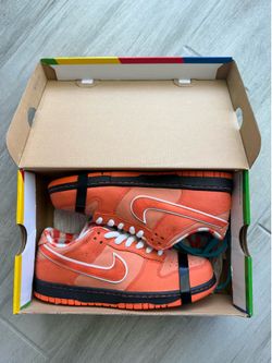 Orange Lobster SB Dunks