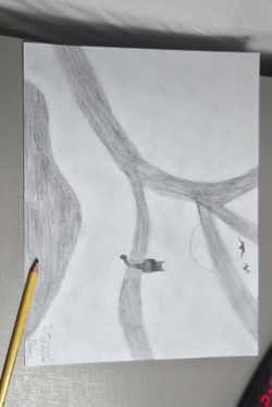 My son's drawing