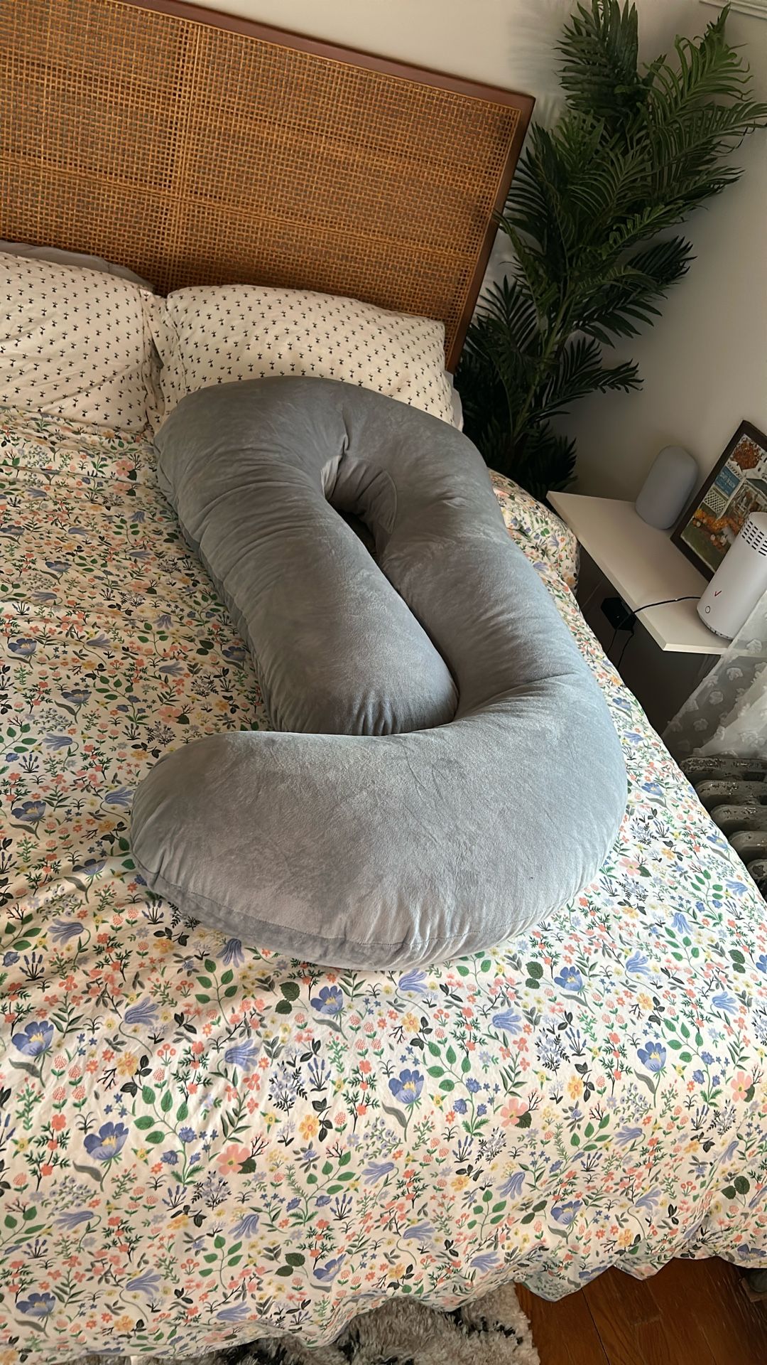 Pregnancy Pillow
