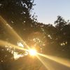 sunZ-