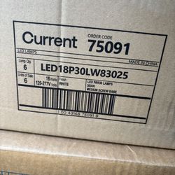 Light Bulbs
