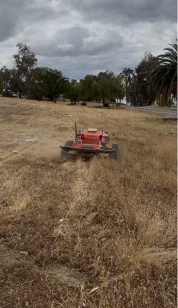 Weed Abatement Fire Mitigation