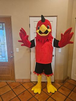 Red Rooster Bird Mascot Costume size XL