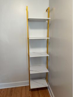 Purse/Shoe Organizing Shelves