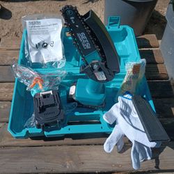 6" Seesii chainsaw kit with 2 batteries charger and carrying case.. extra chain new