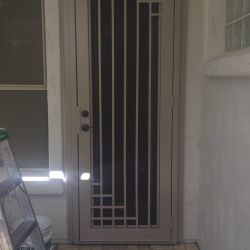 Custom Security Door