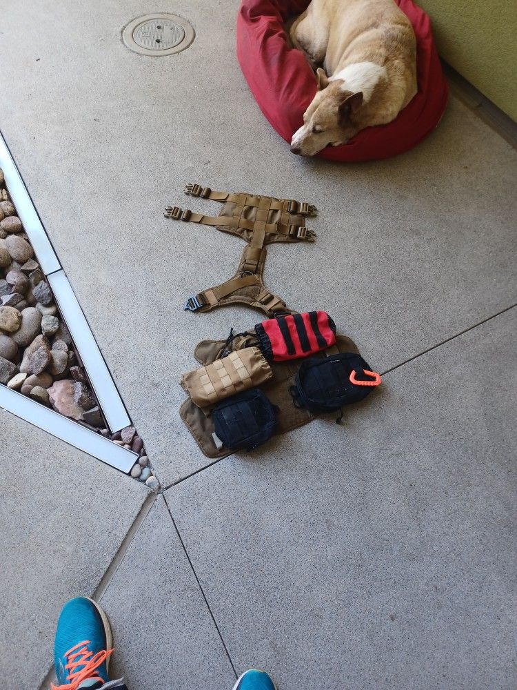 Ice Fang Dog Backpack Harness