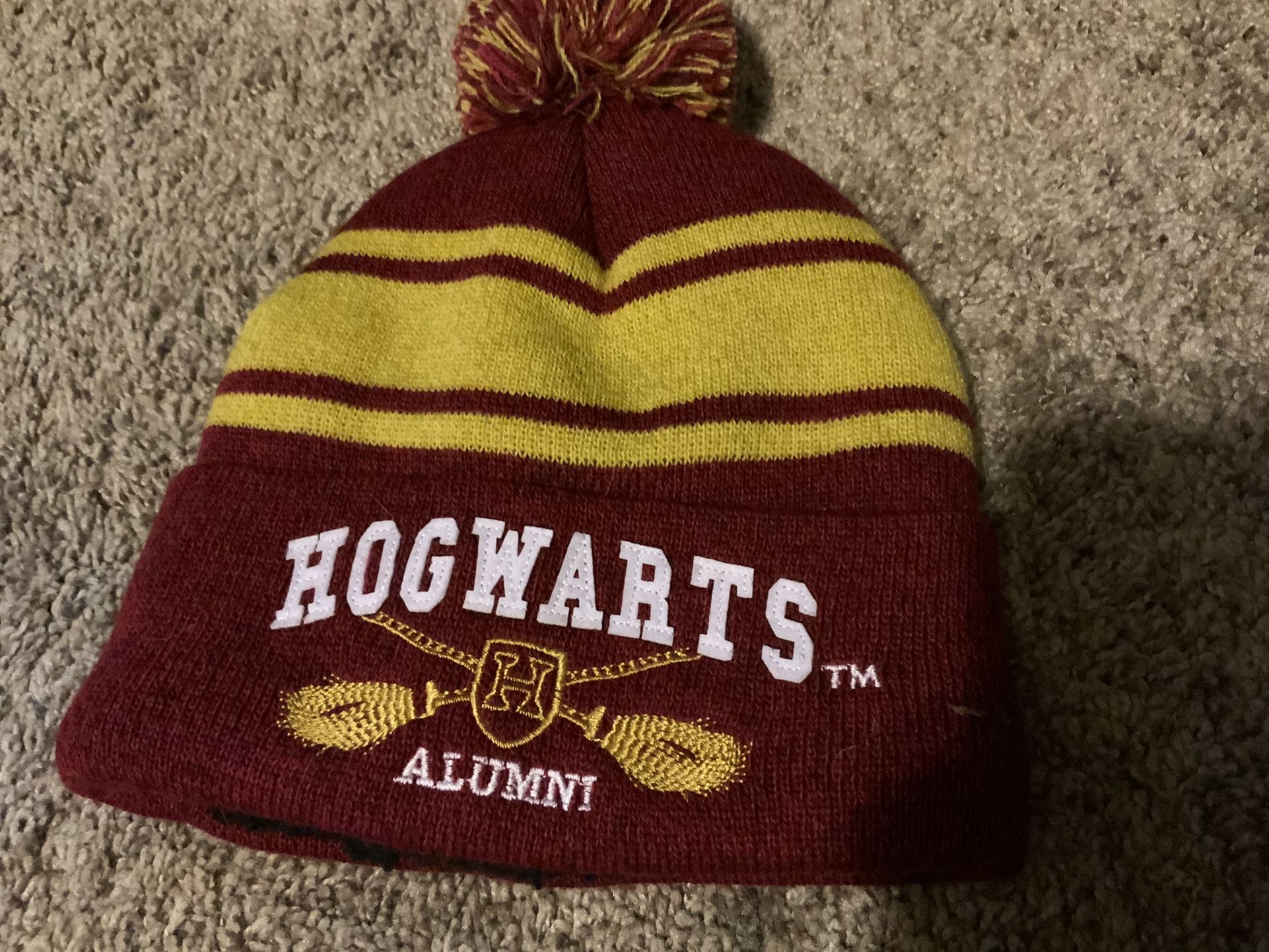 Harry Potter Hogwarts Beanie. Brand New Never Worn