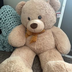 Big Teddy Bear 