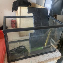 5 Gallon Aquarium Tank