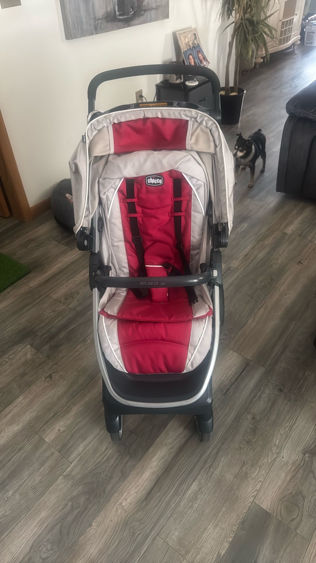 Stroller