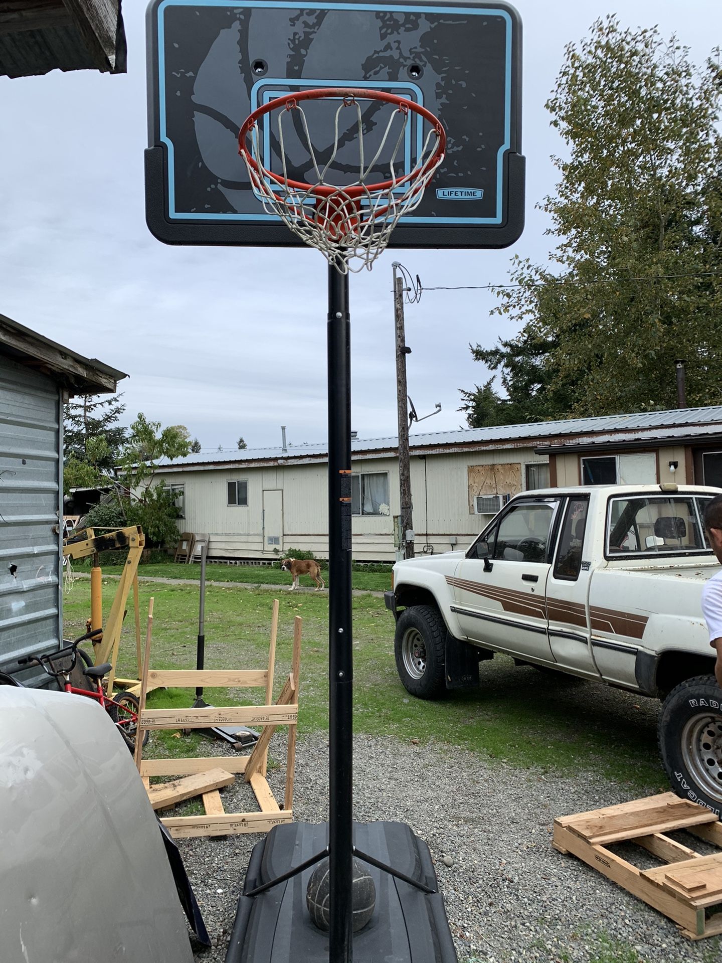 44" Impact Adjustable Portable Basketball Hoop