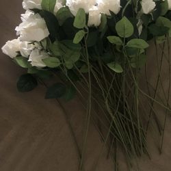 Roses 