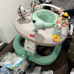 Baby Walker