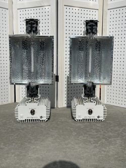 Gavita Pro 1000 e Grow Light