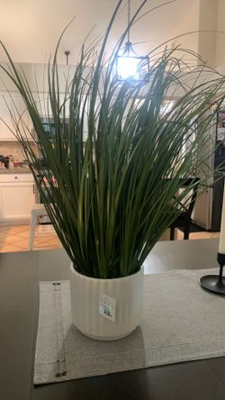 NWT 2ft POTTED PLANT