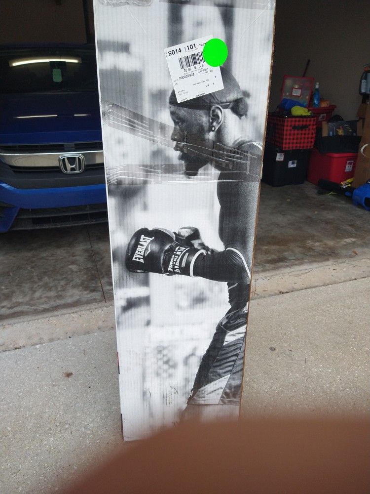 Everlast Heavy Bag Training Kit