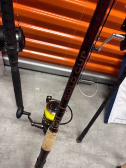 Rod and reel combo penn battle 2
